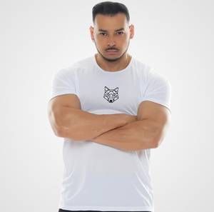 Kit 3 Camisetas Masculina Dry Alpha Co