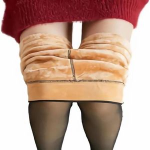 Meia Calça Forrada Translucida Peluciada Quentinha Para O Frio Premium Moda Outono Inverno